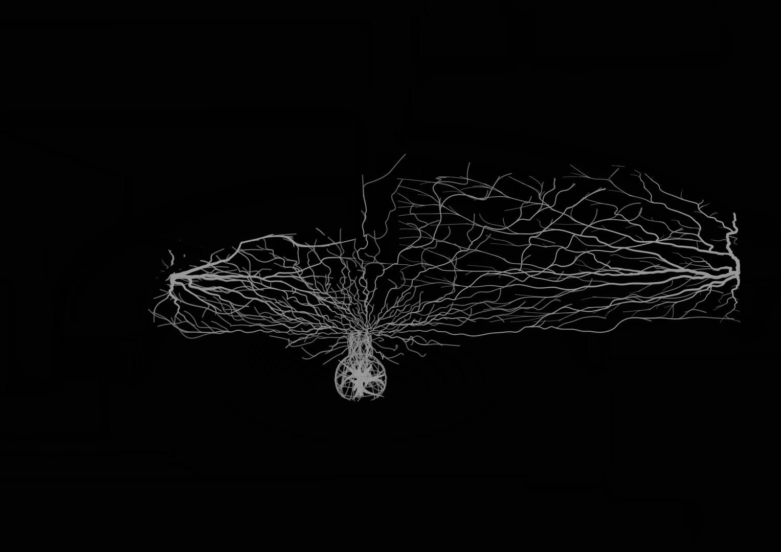 Variations of the Parametric Fractal System